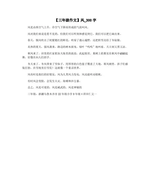 【三年级作文】风_300字