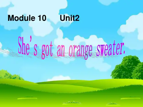 外研版三年级英语下册Module10Unit2She’sgotanorangesweater教学课件
