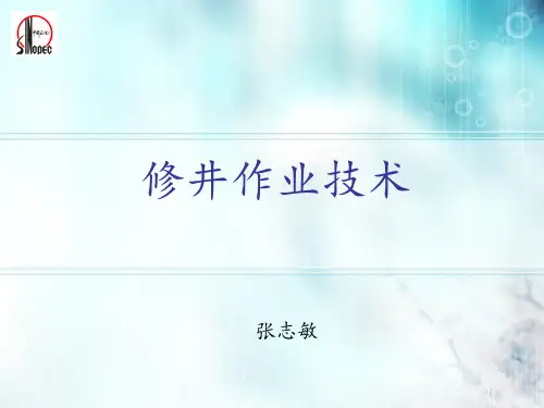 修井作业技术