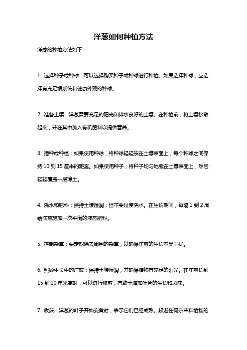 洋葱如何种植方法