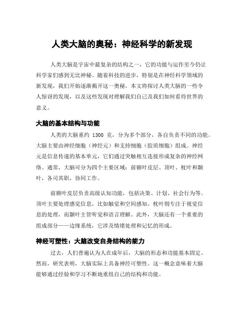 人类大脑的奥秘：神经科学的新发现