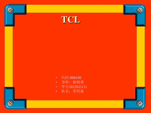 TCL集团股份有限公司投资分析报告.ppt