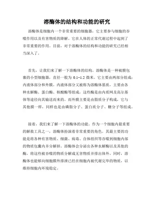 溶酶体的结构和功能的研究