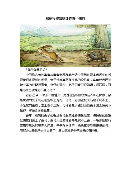 乌龟投资法则让你慢中求胜