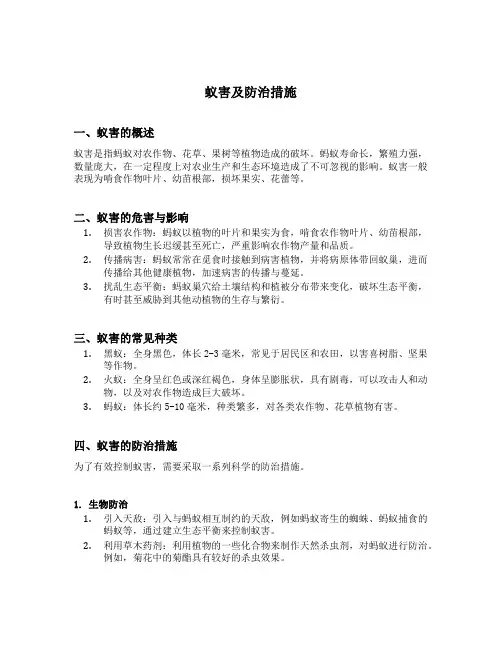 蚁害及防治措施