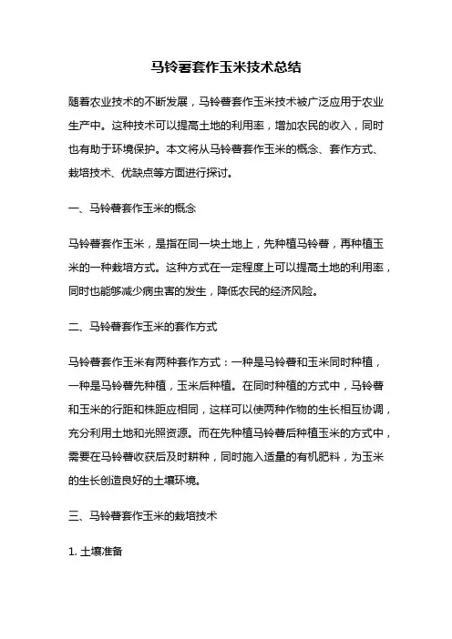 马铃薯套作玉米技术总结