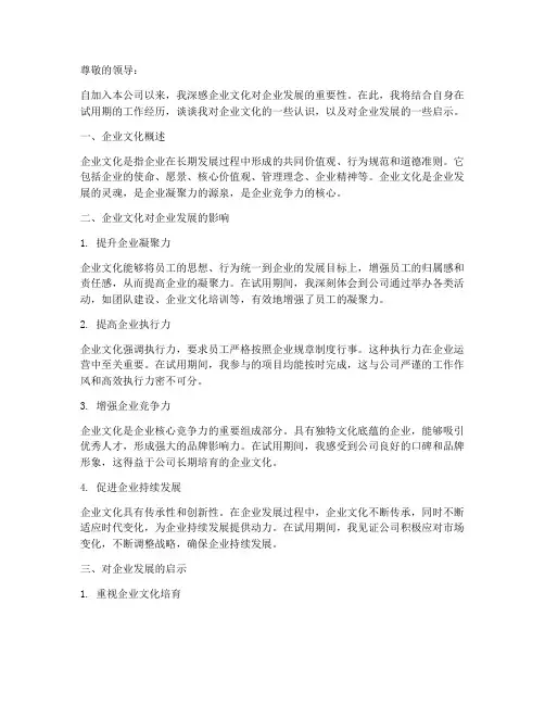 转正报告对企业的文化