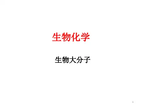 考研西综生化讲义共114页