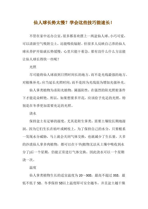 仙人球长势太慢？学会这些技巧能速长!