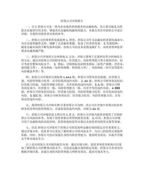 担保公司评级报告
