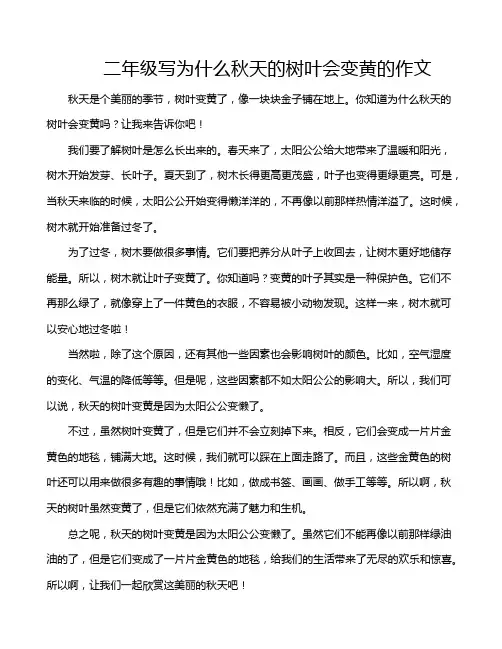 二年级写为什么秋天的树叶会变黄的作文