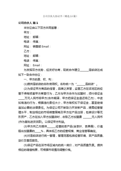 公司合伙人协议书（精选14篇）