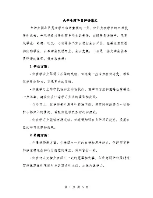 大学生辅导员评语集汇（2篇）