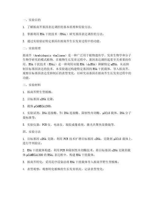 拟南芥实验报告