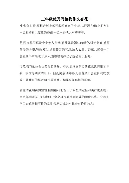 三年级优秀写植物作文杏花