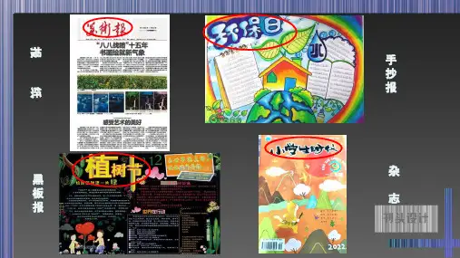3.刊头设计(课件)浙美版美术三年级上册