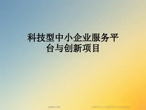 科技型中小企业服务平台与创新项目