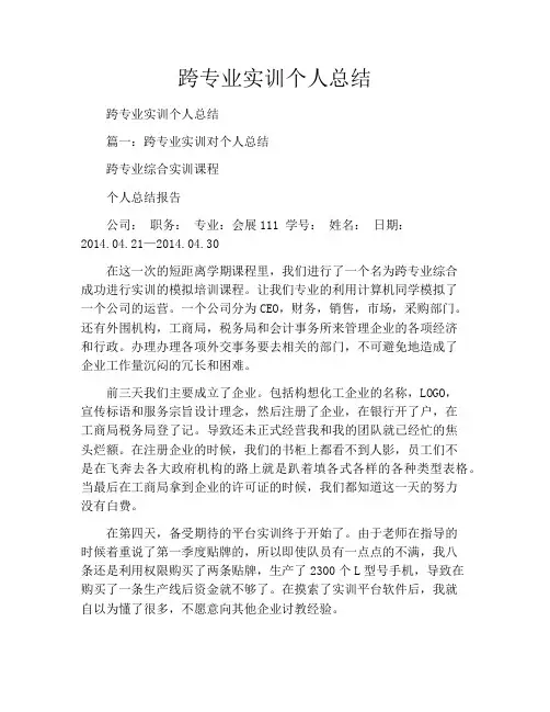 跨专业实训个人总结