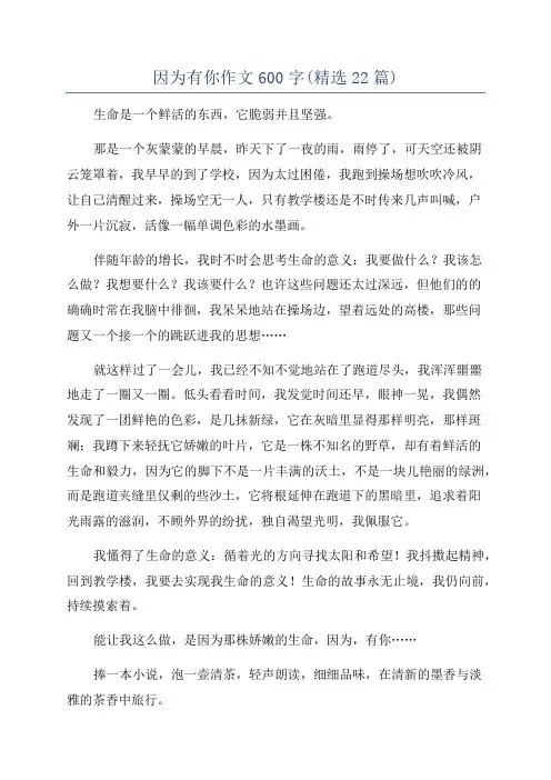 因为有你作文600字(精选22篇)