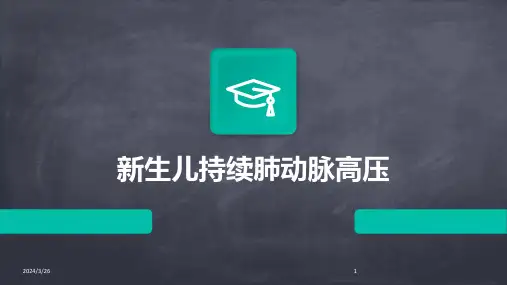 (2024年)新生儿持续肺动脉高压