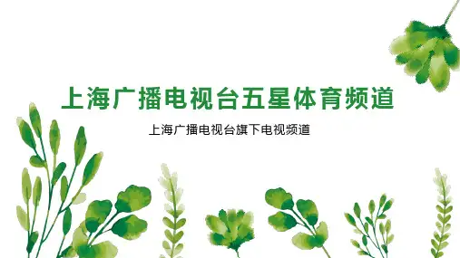 上海广播电视台五星体育频道