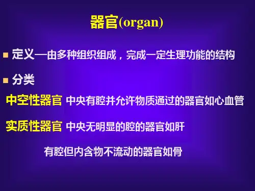 循环系统本科ppt课件