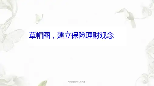 保险理念导入草帽图ppt课件