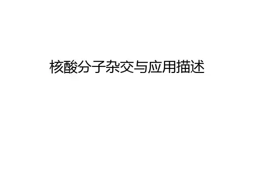 【管理资料】核酸分子杂交与应用描述汇编