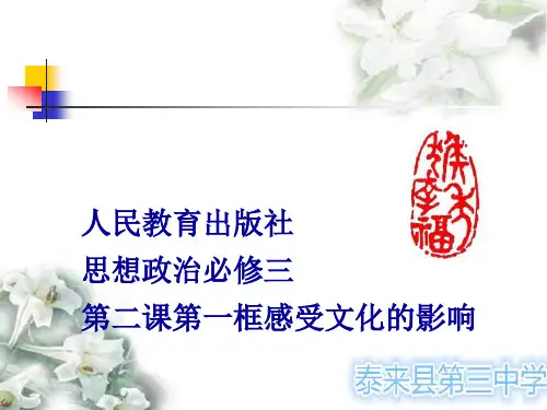 《感受文化影响》PPT课件(黑龙江县级优课)