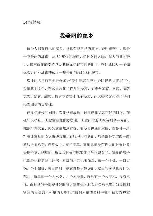 我美丽的家乡—喀什