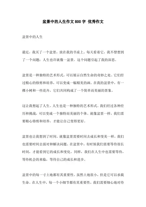 盆景中的人生作文800字 优秀作文