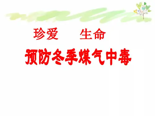 《预防冬季煤气中毒》主题班会课件