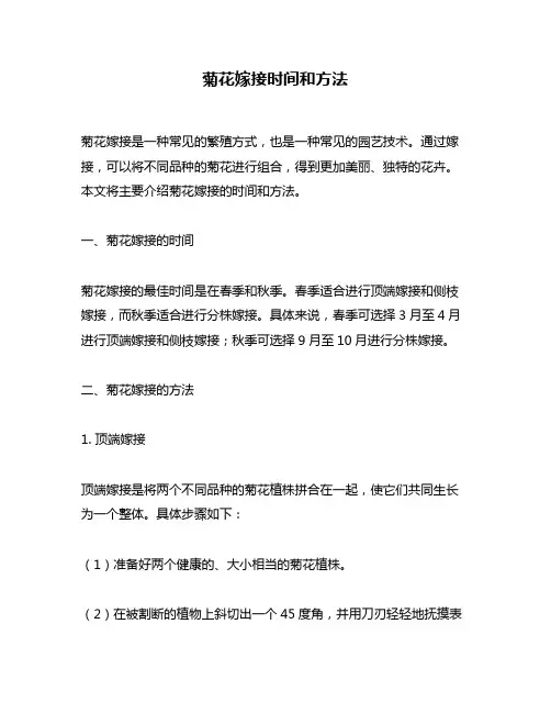 菊花嫁接时间和方法