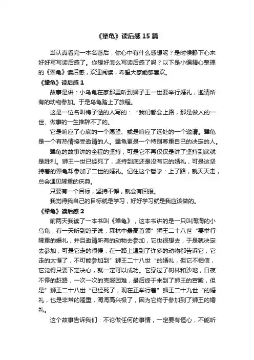 《犟龟》读后感15篇