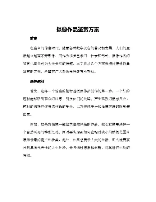 摄像作品鉴赏方案