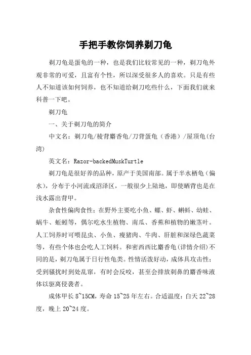 手把手教你饲养剃刀龟