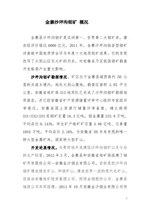 金寨沙坪沟钼矿概况