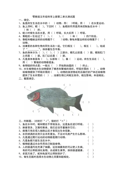 鄂教版五年级科学上册第二单元测试题及答案