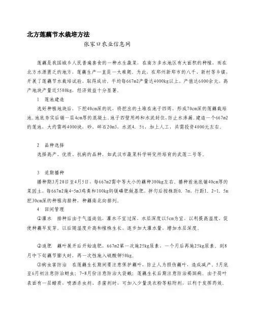 [定稿]北方莲藕节水栽培方法1