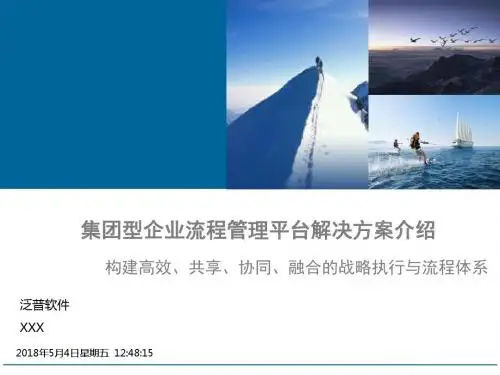 集团型企业流程管理解决方案介绍V资料