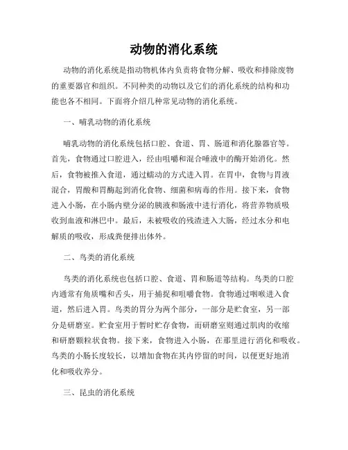 动物的消化系统
