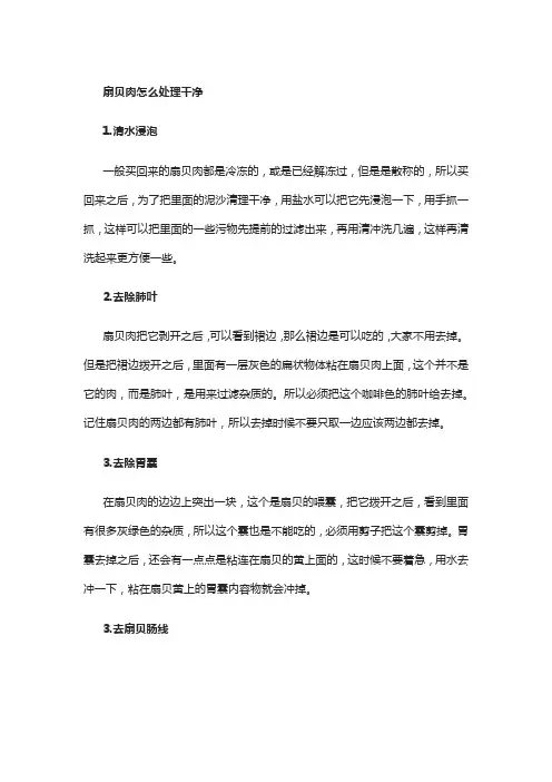 扇贝肉怎么处理干净