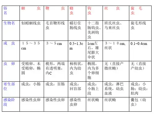 线虫比较