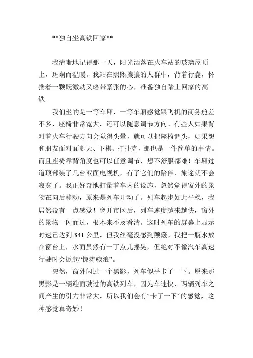 独自坐高铁回家作文600字