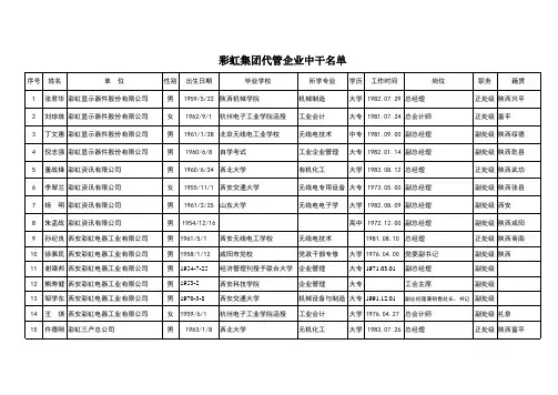 海问-彩虹集团—给北京海问提供的名单
