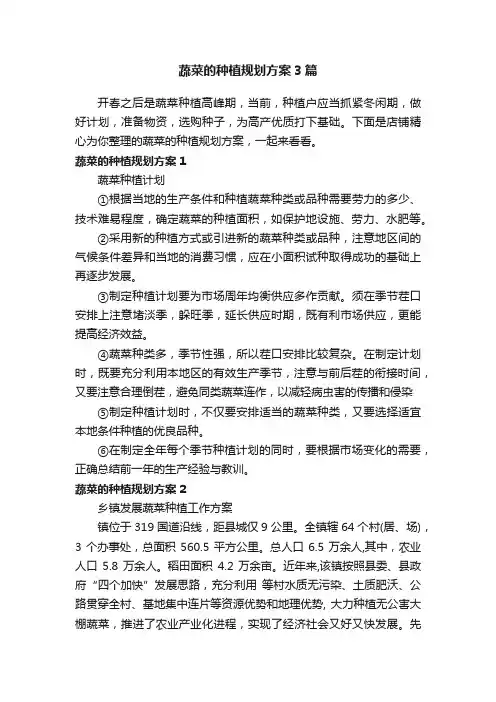 蔬菜的种植规划方案3篇