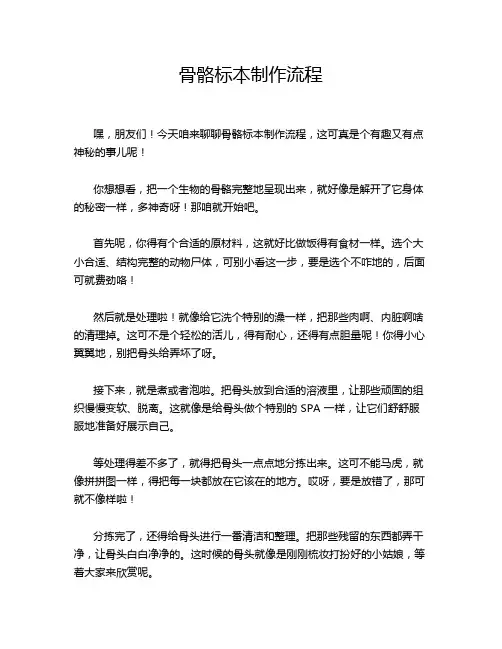 骨骼标本制作流程