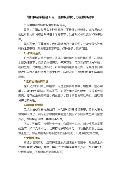 阳台种菜掌握这4点，植物长得快，方法极其简单