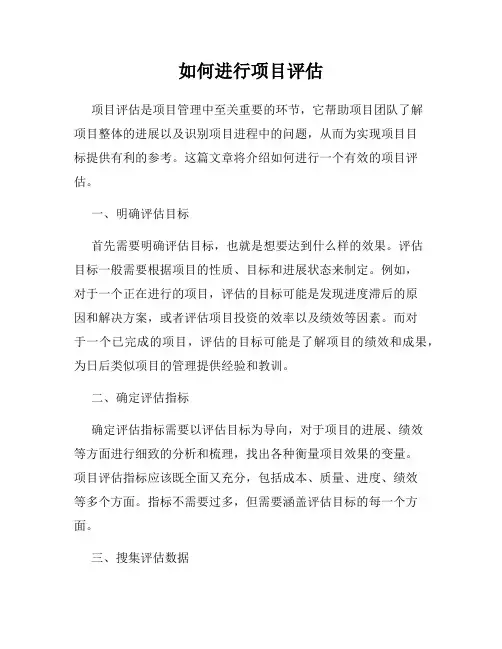 如何进行项目评估