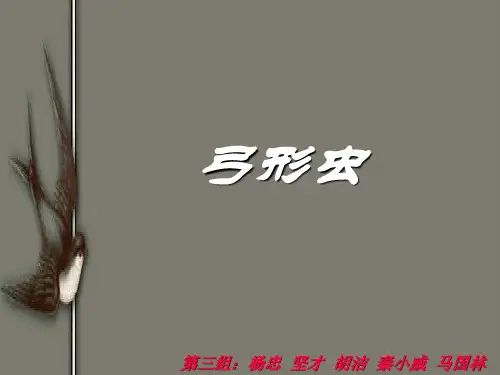 弓形虫